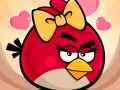 Romantic Angry Birds