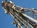 Where not to make a call