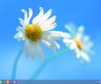 Screenshot (14)
