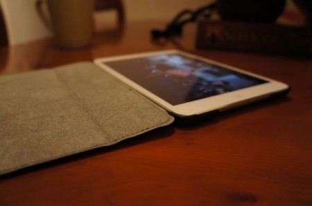 iPad Mini Case Comparison