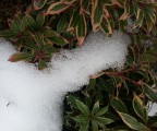 WP_20130125_002