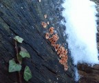 WP_20130126_020