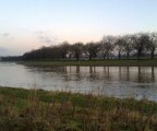 WP_20130215_002
