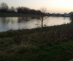 WP_20130215_007