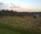 WP_20130215_008