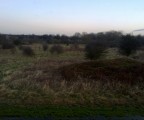 WP_20130215_010