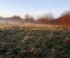 WP_20130217_005