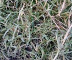 WP_20130217_006