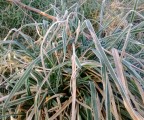 WP_20130217_008