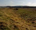 WP_20130217_017