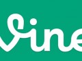 Vine: The good, the bad and the downright ugly