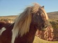 Three say “neigh” to data limits