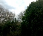 picture003