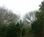 picture008