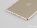 iPad Mini 2 Rumour: Gold and Touch ID