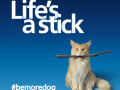 O2 tweak 4G pricing. More cats and dogs added