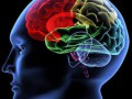 Are iPhone users more intelligent?