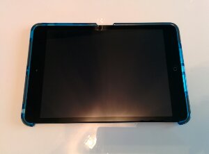 Tech 21 iPad Mini Screen Protector & Rear Case Review