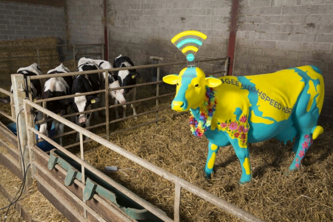 Connect to EE 4G Moo Fi at Glastonbury