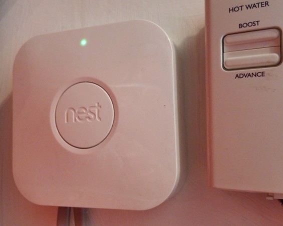 Nest Review