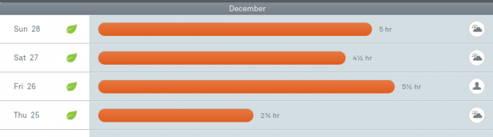 Nest Review