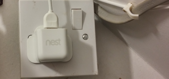 Nest Review