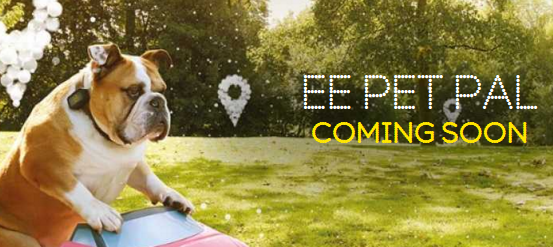 Track your pet with EE