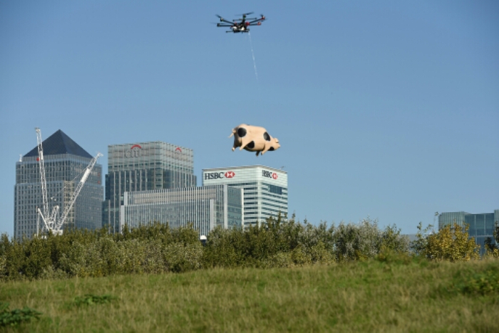 Pigs can fly   and theyre alcoholic!