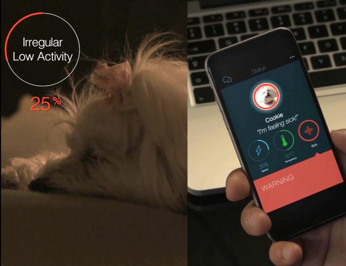 Talk to the animals with a KYON Pet Tracker