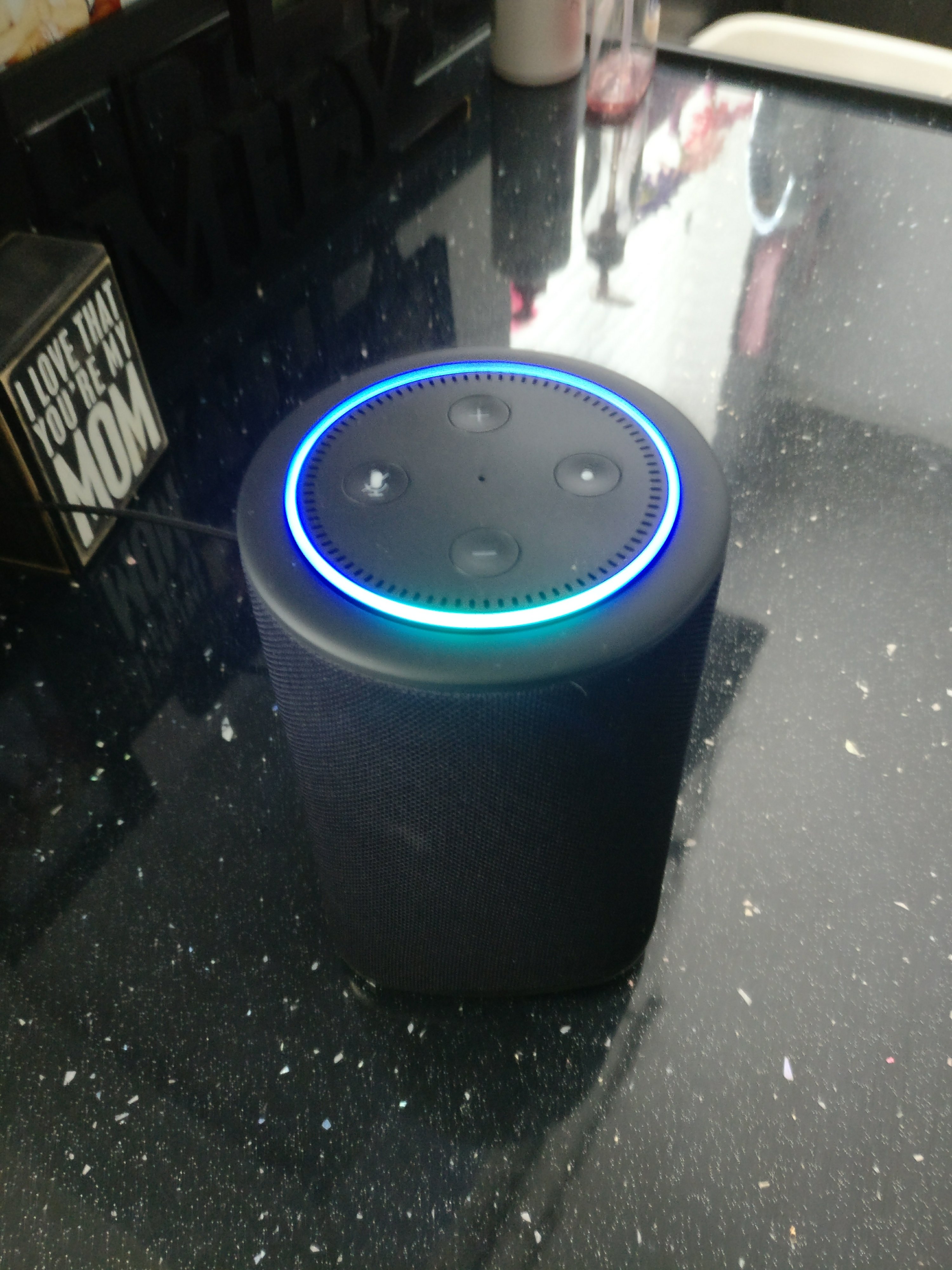 Vaux   Amazon Echo Dot Powered Speaker   Review