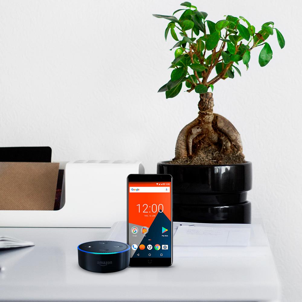 Buy a WileyFox and get a free Amazon Echo Dot!