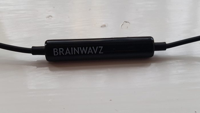 Brainwavz Delta In Ear Earbuds   Review