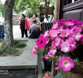 Live from China The Meizu 15 arrives Live from China The Meizu 15 arrives